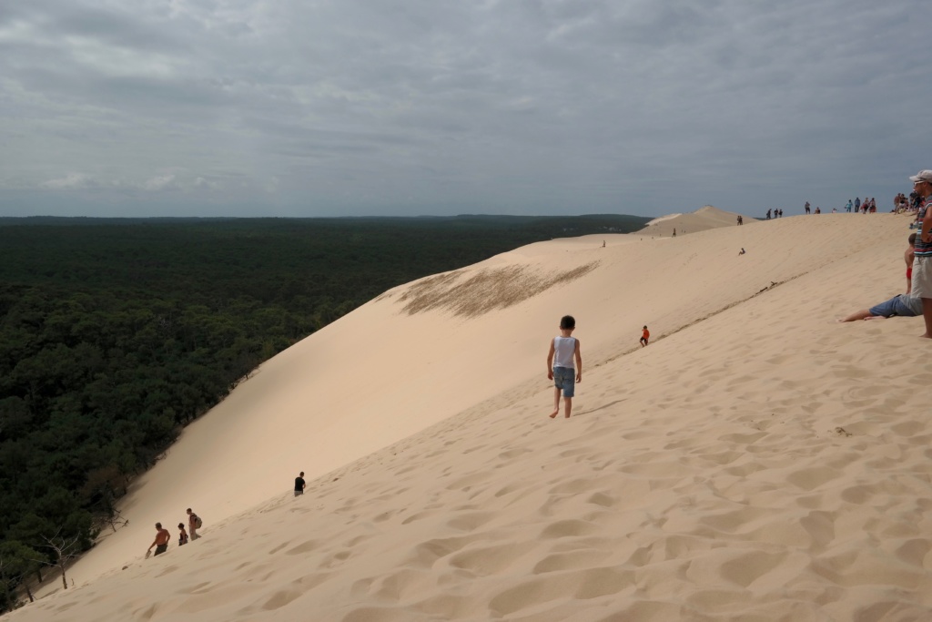 48 hours in Arcachon, France - The Vegan Twist